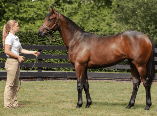 Latest Weekly Listings – Headwater, Ocean Park and Cosmic Force